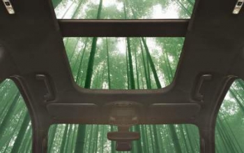 Ford создаст автомобиль из бамбука