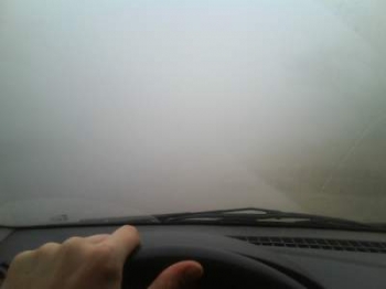 Как нужно вести себя за рулем в зимнем тумане